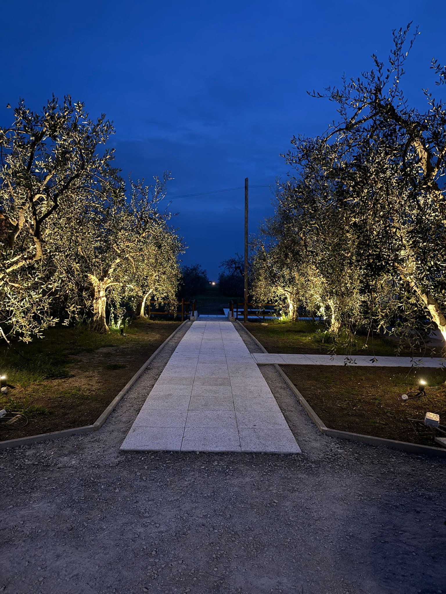 Piazzole agricampeggio tra gli ulivi a Riotorto