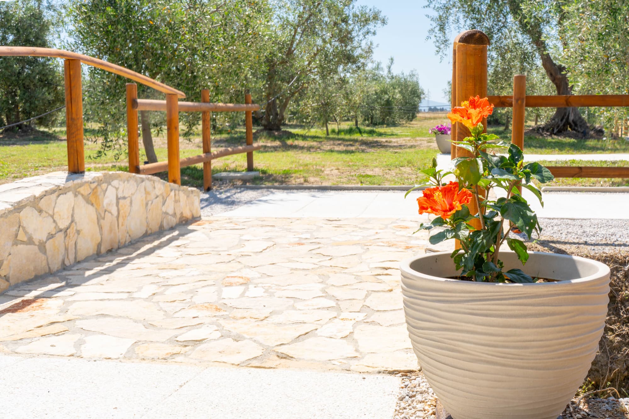 Agricamping a Riotorto, foto di bungalow e casa vacanze immerse nella natura