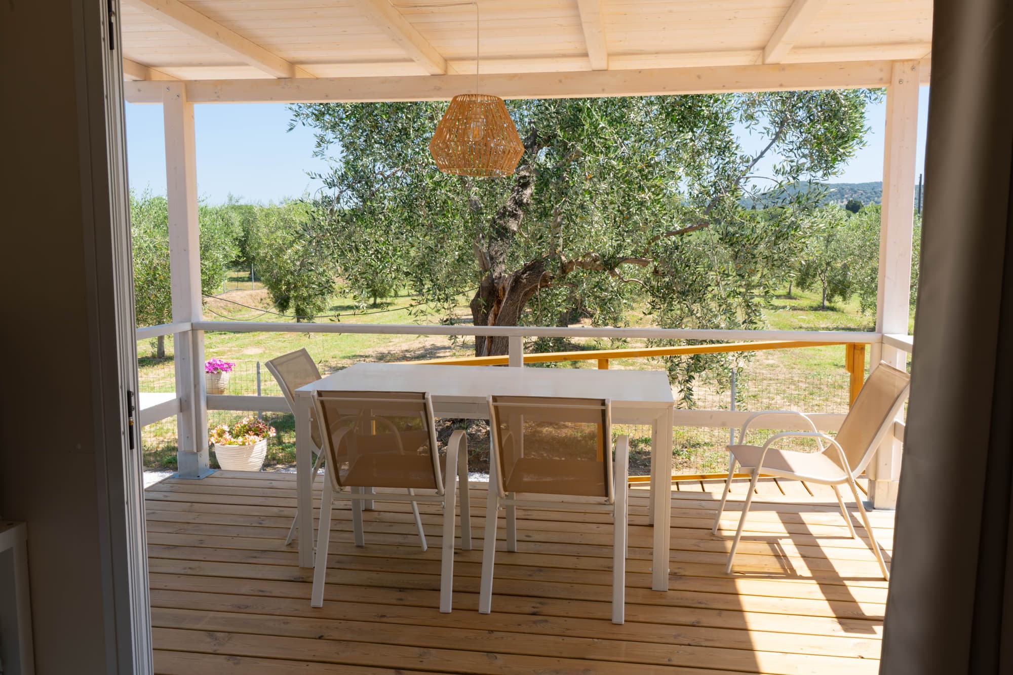 Agricamping a Riotorto, foto di bungalow e casa vacanze immerse nella natura